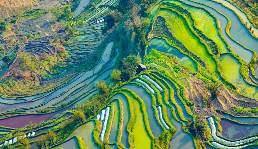走进崇仁县TVC拍摄：解锁本地化场景与创意镜头的完美融合